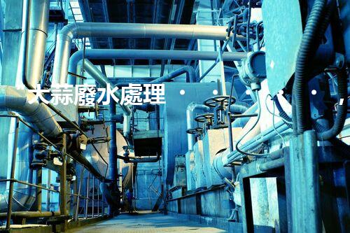 “大蒜廢水處理，綠色環(huán)保新篇章”